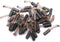 40pcs Carbon Brushes of Electric Power Drill Repairing Motor for Power Tools, 0.59" x 0.24" x 0.24"...