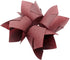 180 Pieces of Tulip Baking Paper Cups Cupcake Muffin Liners Pans Wrappers in 3 Colors, White, Natural, Brown...