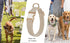 Soft Corduroy Fibric Dog Collar with High Grade Metal Buckle, for Small Dogs.(White,Small:10-15")...