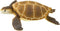 Safari Ltd. Green Sea Turtle Figurine - Detailed 4" Plastic Model Figure - Fun Educational Play Toy for Boys, Girls & Kids Ages 1+...