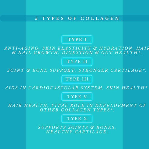 Multi Collagen Pills Plus + 180 Capsules (Types I, II, III, V & X) + Absorption Enhancer (3 Months Supply) - Non-GMO, Collagen Supplements to Supp...
