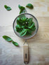 Imusa IMU-71193 6" Stainless Steel Strainer With Wood Handle 6"/16CM...