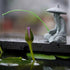 Mini Fisherman Figurine Sandstone Asian Aquarium Decorations Japanese Garden Ornaments, D...