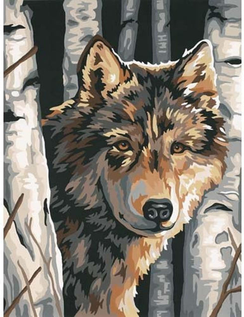 Dimensions Paint by Number, Wolf Among Birches...