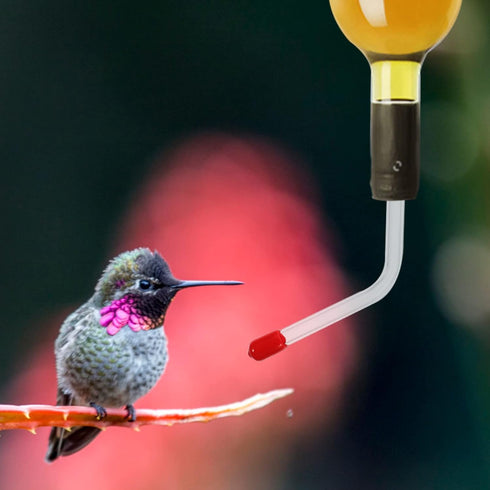 Yardwe 4 Pcs Hummingbird Feeder Tubes and Stoppers with Bb Hummingbird Feeder Replacement Parts Making Your Bird Feeders...