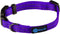 Max and Neo NEO Nylon Buckle Reflective Dog Collar - We Donate a Collar to a Dog Rescue for Every Collar Sold (X-Small, Purple)...
