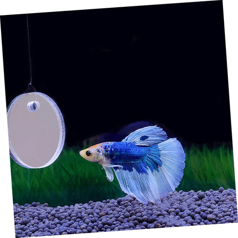 1 Set Acrylic Betta Training Mirror Round Mirrors Double Sided Mirror Fish Aquarium Decoration Betta Training Exercise Fighting Fish Mirror Floati...