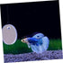 1 Set Acrylic Betta Training Mirror Round Mirrors Double Sided Mirror Fish Aquarium Decoration Betta Training Exercise Fighting Fish Mirror Floati...