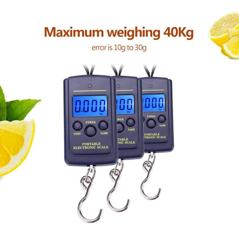 Fish Scales Digital Weight, Hanging Weight Scales, Portable Plastic Electric Balance Digital Fishing Postal Hanging Hook Scale Load 40kg with Lcd ...