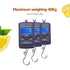 Fish Scales Digital Weight, Hanging Weight Scales, Portable Plastic Electric Balance Digital Fishing Postal Hanging Hook Scale Load 40kg with Lcd ...