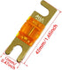 (Pack of 5 pcs) Mini ANL Fuse 40 AMP Car Audio Fuse 40A Gold Plated (40 Amp)...