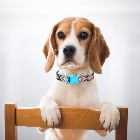 Dog Collar for Small Dogs with Blue African Tribal Mexican Native Boho Pattern, Adjustable Pet Collars for Girl Boy Puppy Dogs XS Small Medium Lar...