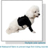 Pet Leg Joint Wrap Protector for Dogs, Adjustable Dog Elbow Brace Protector Pads, Puppy Wounds Compression Wrap Sleeve Prevent Licking, Pets Recov...