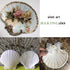 6PCS Scallop Shells for Serving Food,Baking Shells Large Natural White Scallops from Sea Beach for DIY Craft Decor 4-5 Inches...