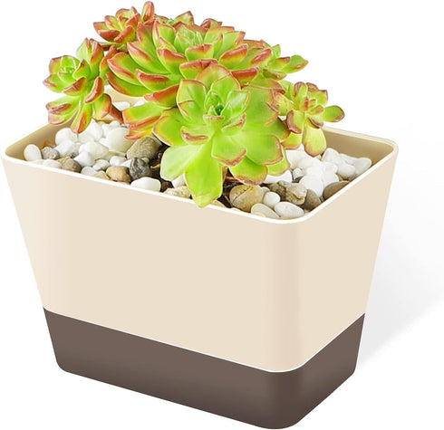 Planter Pot with Drainage, 1 Pack 6x3.8 Inch Herb Indoor Window Box with Tray, Modern Plastic Plant Flower Succulent Cactus Container for Windowsi...