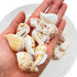 105g Hermit Crab Shells,White Yellow Natural Sea Conch Size30mm-40mm,Turbo Seashells for Hermit Crab Supplies and Beach Decoration Large Sea Shel,...