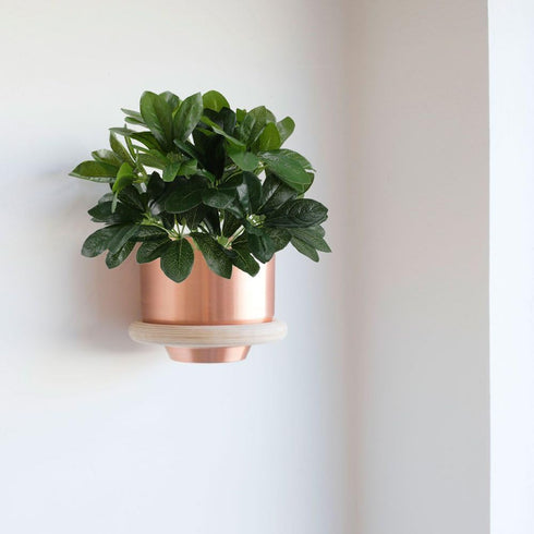 GTIDEA Artificial Shrubs Plants Fake Silk Schefflera Bushes Real Touch Faux Greenery Leaf Arrangements Indoor Outdoor Garden Office Home Table Cen...