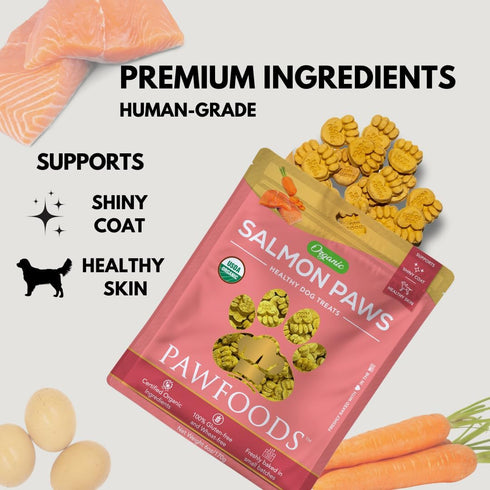 Salmon Dog Treats - Organic Dog Treats with Salmon - Shiny Coat Healthy Skin, Omega 3 & 6, Low Calorie Dog Training Treats, Healthy Dog Treats - A...