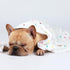 1 Pack 3 Blankets Super Soft Cute Dot Pattern Pet Blanket Flannel Throw for Dog Puppy Cat Beige/Brown/Pink Medium...