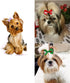 Pet Headdress Bowknot Flower Pet Dog Accessories Long-haired Princess Style Headdress Dress Up Dog Hairpin Randomly (50pcs Bow headdress)...