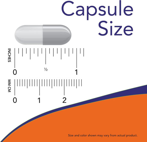 NOW Supplements, L-Carnosine (Beta-Alanyl-L-Histidine) 500 mg, Healthy Aging, 50 Veg Capsules...