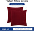 HWY 50 Burgundy Red Velvet Throw Pillow Covers 20x20 Inch, Pack of 2 Soft Cozy Solid Decorative Luxury Cushion Cases for Couch Sofa Bed Living Roo...