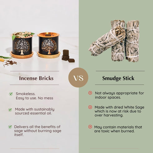 California White Sage Incense Bricks (2 x 9 Bricks) & Tree of Life Exotic Burner by Aromafume | Made with Salvia Apiana(White Sage) Extracts | Ide...