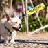 JXGZSO Reactive Not Aggressive Do Not Pet Dog Leash Sleeve Reactive Dog Leash Wrap (reactive D NOT P DLS)...