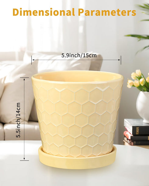 EFISPSS Ceramic Plant Pots, 6Inch Pots for Indoor Plants Set of 2, Planters with Drainage Holes and Ceramic Tray, Flower Pots Desktop Office Windo...
