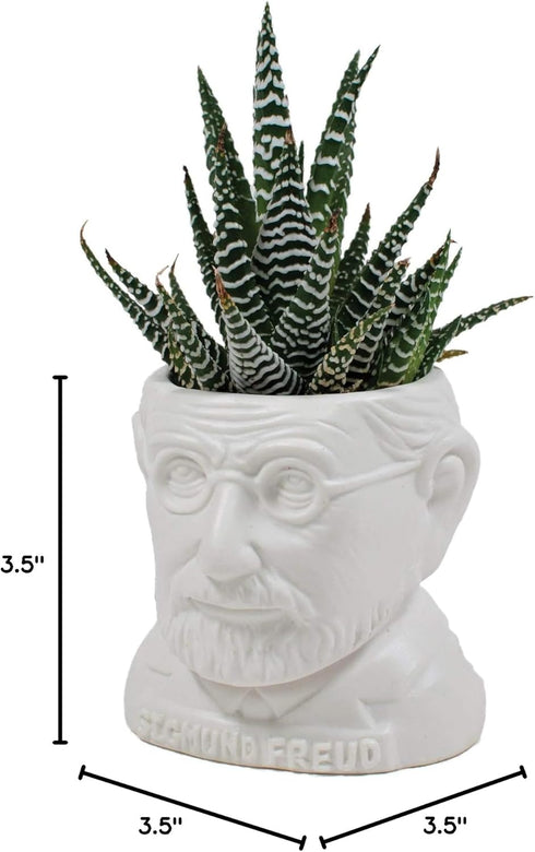 The Unemployed Philosophers Guild Sigmund Freud Bust Ceramic Planter...