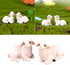 4pcs Miniature Sheep Figurines Resin Micro Landscape Fairy Garden Animals Ornament for DIY Terrarium Crafts Accessories (Random Style)...