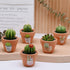 Succulent Candles, Novelty Cactus Tealight Candle Baby Shower Candle Decorations for Party Favors Terrarium Cacti candels Home Decor…...