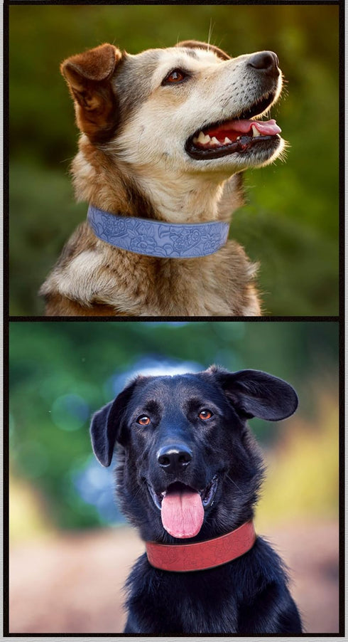 Basic Dog Collars, for Large Dogs, Medium Dogs & Small Dogs, PU Leather Collar for Dogs, Embossed Print Leather Dog Collars (XL, Green)...