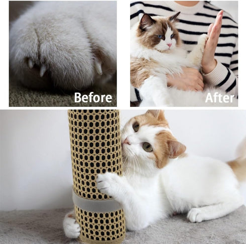 Cat Nail File Scratcher Wrapped Around a Cat Scratching Post, Cat Scratch Pad with 80 Aluminum Oxide Grit, Nail File for Cats Can Help to Trim You...
