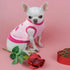 8 Pieces Pet Shirts Printed Puppy Soft Dog Shirt Pullover T Cute Sweatshirts Valentine's Day Girl Clothes Outfits Small for Dogs Cats (Vivid Patte...