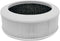 True HEPA Filter - Replacement Air Purifier Filter for QUEENTY F006 Car Air Purifier...