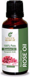 Rose Oil 15 ML (0.51 Fl.OZ) | 100% Pure Natural Undiluted Uncut Therapeutic Grade Rosa Damascena Essential Oil...