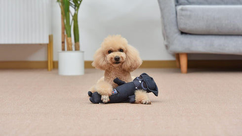 Star Wars for Pets Darth Vader Plush Bobo Dog Toy with Squeaker | Darth Vader Toy for Dogs | Dog Toys, Squeaky Dog Toys, Bobo Style Dog Toys, Dog ...