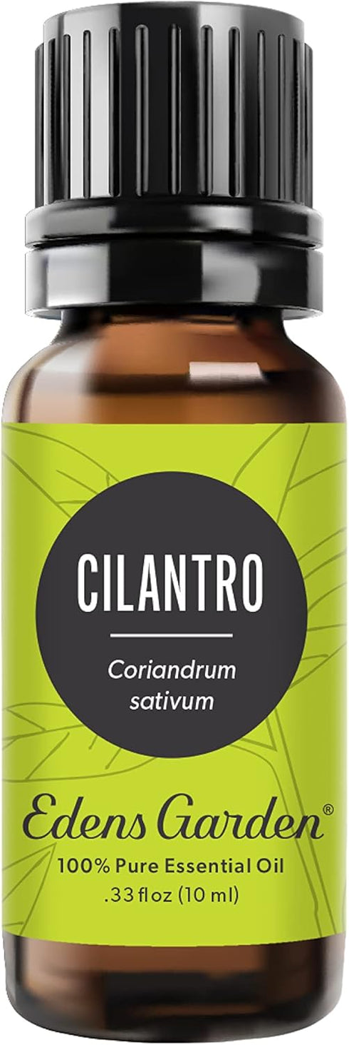 Edens Garden Cilantro Essential Oil- 100% Pure Premium Grade, Undiluted, Natural, Therapeutic, Aromatherapy, The Best for Diffuser, Candle, Laundr...