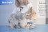 PETACARE® Pet Double Sided Brush. Friendly Undercoat Rake and Furever Brush for Dogs, Professional Pet Grooming Tool, Perfect for Dog and Cat Shed...