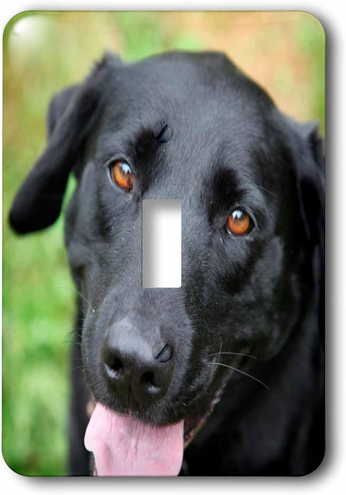 3dRose lsp_206817_1 Black Labrador Single Toggle Switch, Multicolor...