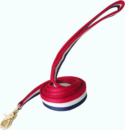 Premium Dog Leash with Luxury Style, Soft Durable Dog Leashes, Walking Training Leash for Small Medium Large Dogs...