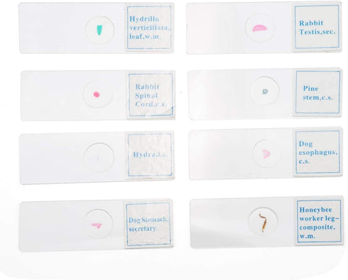 25 PCS Prepared Premade Microscope Slide Set with Specimen for Basic Biological Science Education...