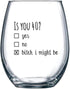 40th Birthday Gifts for Women and Men Wine Glass - Funny Is You 40 Gift Idea for Mom Dad Husband Wife – 40 Year Old Party Supplies Decorations for...