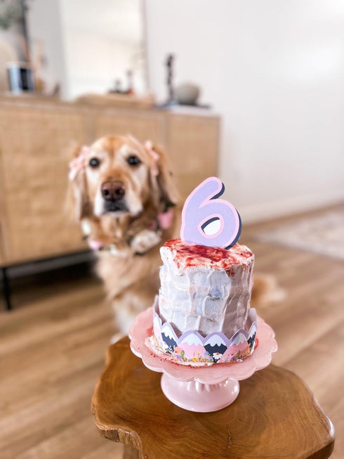 Barley's Bakes Birthday Cupcake Mix for Dogs, Peanut Butter Flavor, 7.5 Ounce, Wheat Free, Gluten Free, Real Food Ingredients, Made in the USA by ...