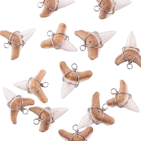 BlueRica Shark Tooth on Adjustable Brown Cord Necklace (3L)...