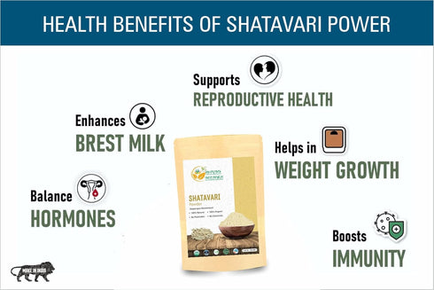 Shatavari Powder Organic Asparagus Racemosus for Lactation Breastfeeding Shatavri Satawar Kalpa Kalp India USDA Organic Improves Lactation | Rejuv...