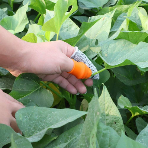 Upgrade Garden Silicone Thumb Knife, Harvesting Plant Knife, Gardening Gifts?Garden Knife?Finger Knife Picking for Trim Garden Vegetable Gardening...