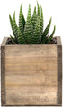 CYS EXCEL Cube Planter Box with Removable Plastic Liner (3"x3"x3")(6 PCS) | Multiple Size Choices Wood Square Planter | Indoor Decorative Window B...
