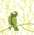 Sizzix Layered Reusable Crafts 4PK Bird & Branches by Olivia Rose | 665265 | Chapter 4 2022 Stencils, Mulitcolour...